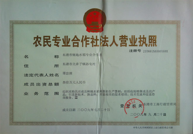 ����Ӫҵִ��