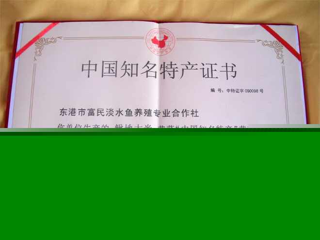 �й�֪���ز�֤��