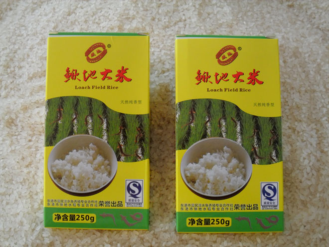 ���ش���ϵ��