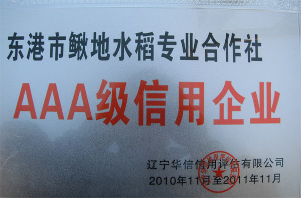 AAA��������ҵ