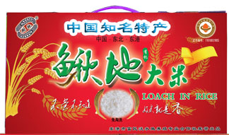 ���ش���